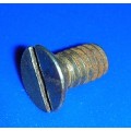 Junior Locking Plate Screw